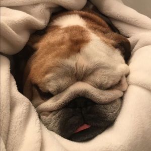 Meet your Posher, Tracy